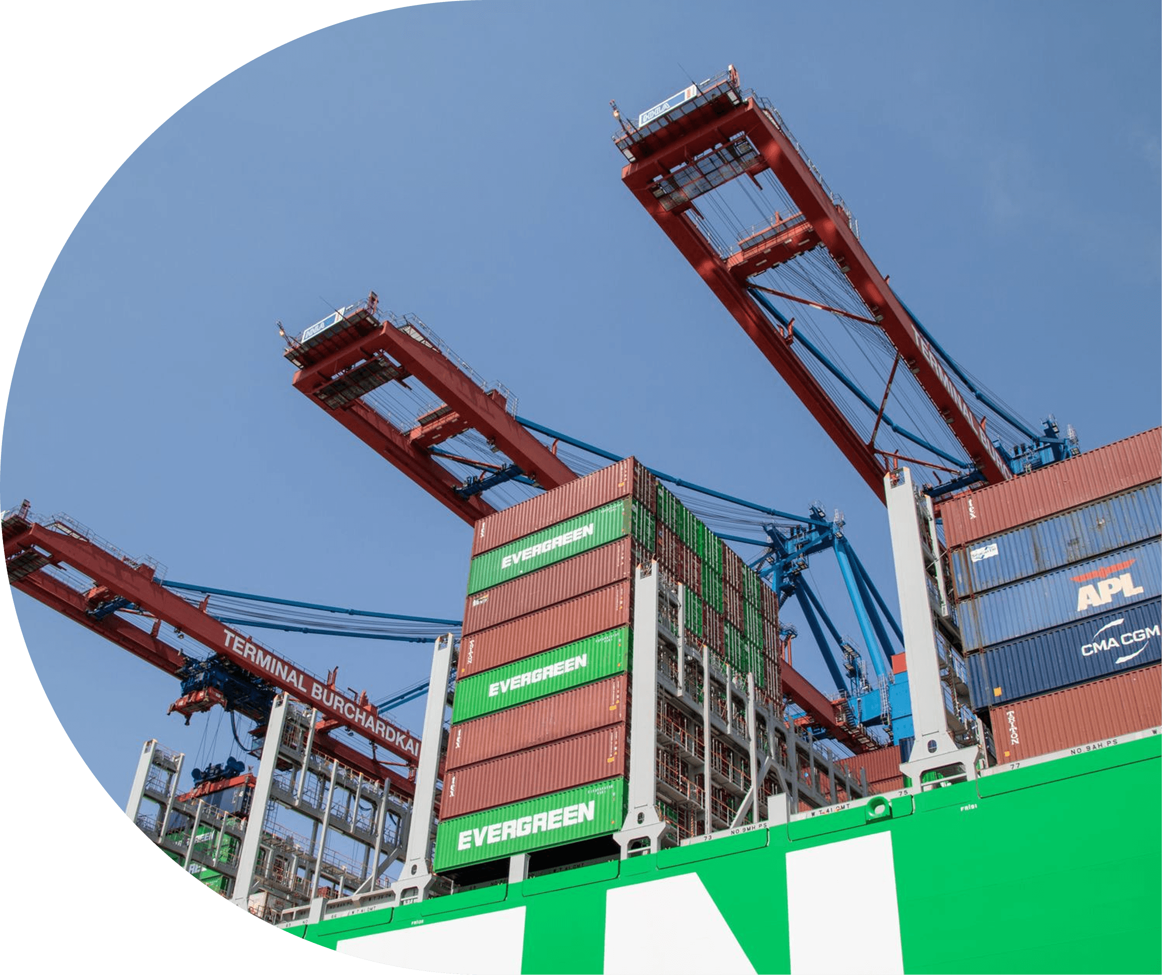 Tradepaddy Port Cranes